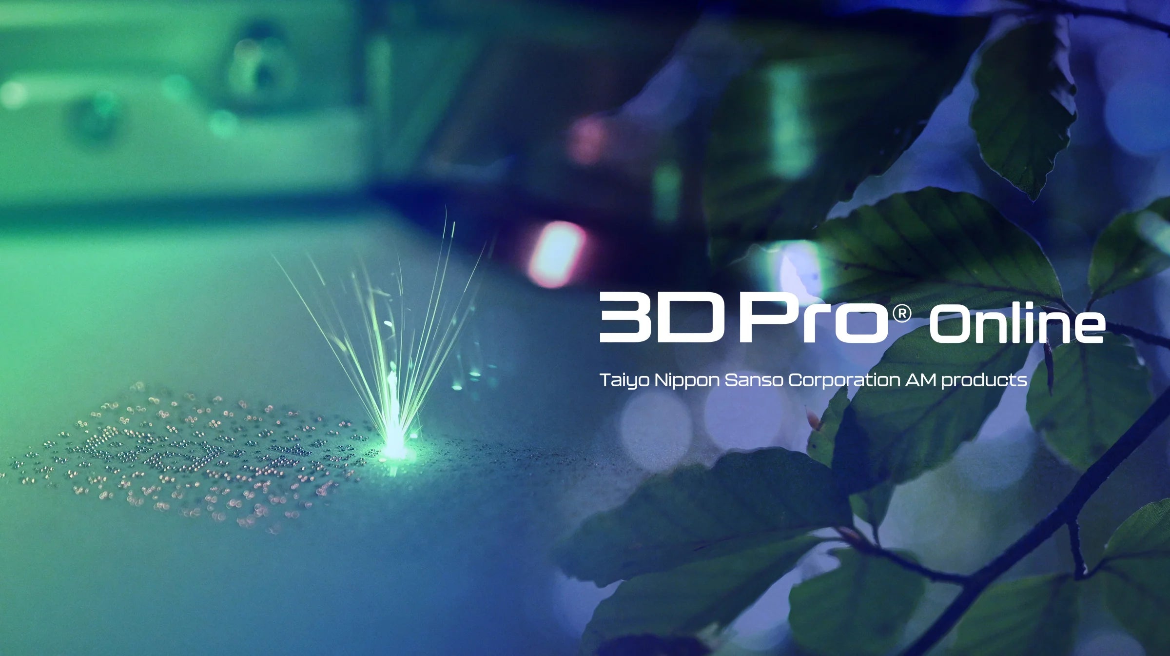 2024新世界製造直販★最新3D+調和技術ふんわり美人L・M・Sサイズ36㌢~ Amazon.co.jp: NOVA3D FastCure2 SE 二次硬化機 超大硬化サイズ